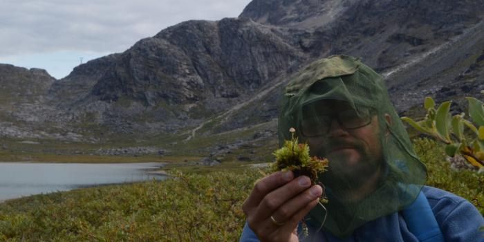 Mycena Fungi Have Evolved to Infect Live Hosts