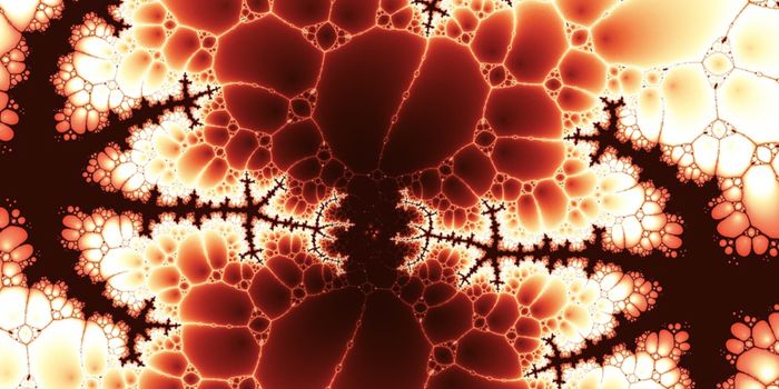 Investigating the Link Between Form & Function in Cell Organelles