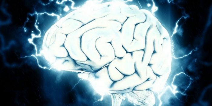 Your Brain Has Rhythm