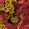 A Natural Compound That May Disarm Drug-Resistant Bacteria