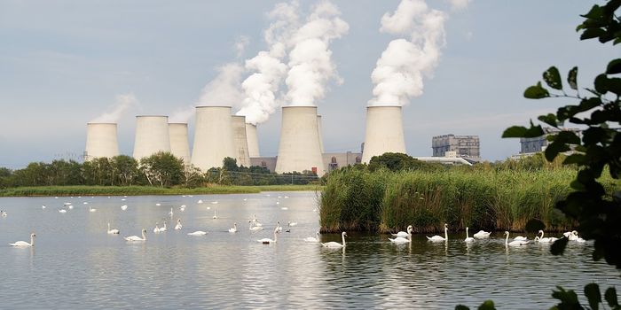 Cutting air pollution saves lives in New York