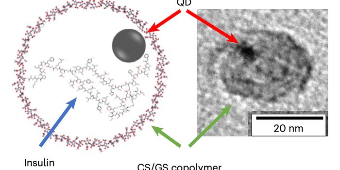 Nanoparticle Breakthrough: Transforming Diabetes Treatment with Oral Insulin Precision