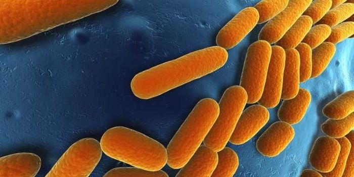 Ancient Enzyme Morphed Shape to Carry Out New Functions in Humans