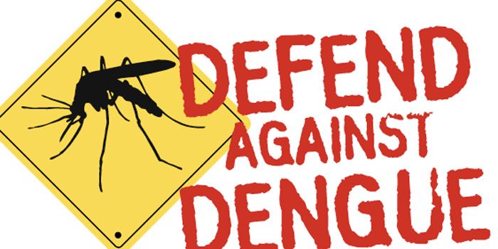 Potential Dengue Vaccine Target