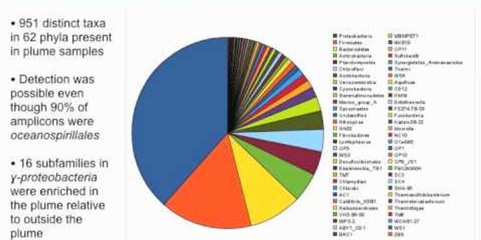 PhyloChip Analysis of Gulf Oil Spill 2010