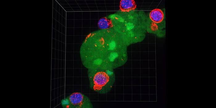 How a Parasitic Amoeba Evades the Immune System