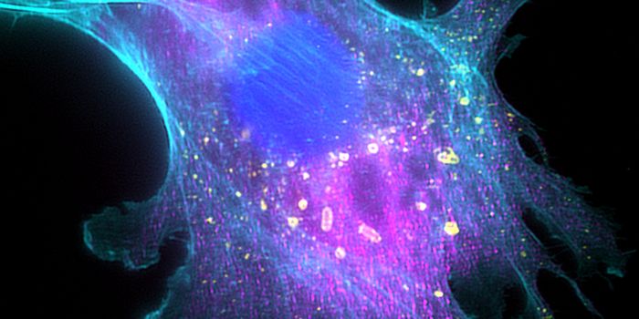 New Treatment Approach Uses Bacteria to Deliver Drugs to Cancer Cells