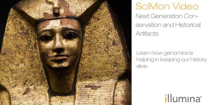 Identification of Microbes in Cultural Relics Aids Conservation