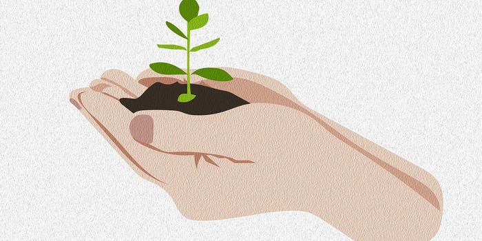 Sterilized Desert Soils Release Nitrogen Gases After Rainfall