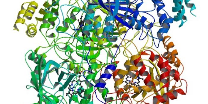 The Role of Hydrogen Peroxide in Plant Programmed Cell Death