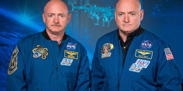 Space has an 'Explosive' Effect on Gene Expression