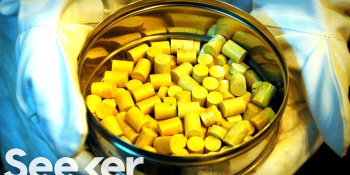 The Rise of Thorium Nuclear Reactors