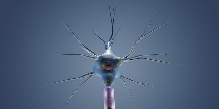 MS May Protect Against Alzheimer's Disease