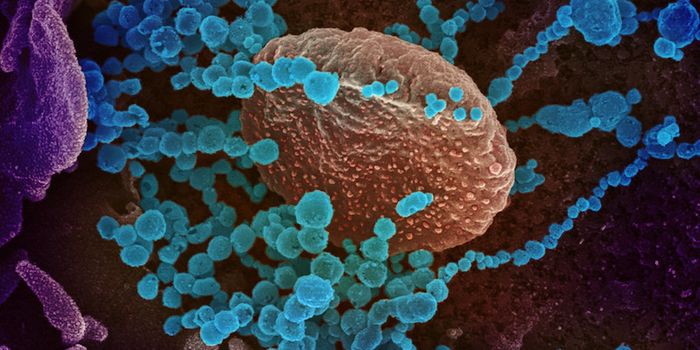 Conspiracy Theories Surrounding the Origins of SARS-CoV-2