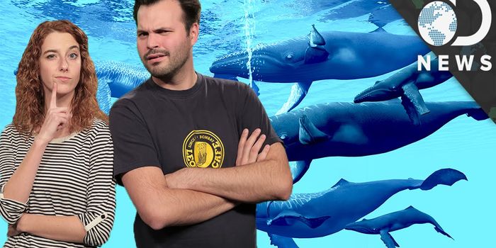 On the list, off the list and on the list again...