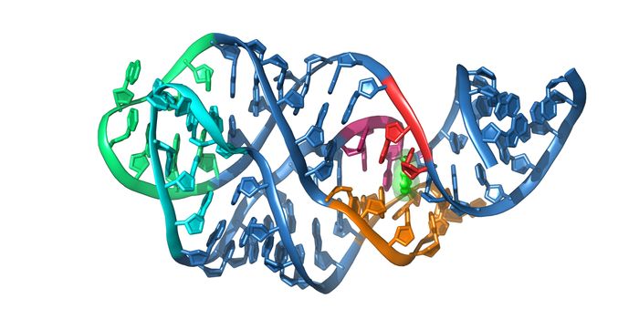 New Antibiotic Targets Riboswitch