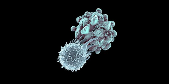 Cancer Cells Hijack Immune Cells For Protection