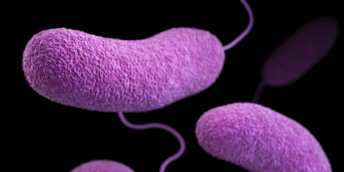 Bacterial Virus May Treat and Prevent COVID-19 Infections