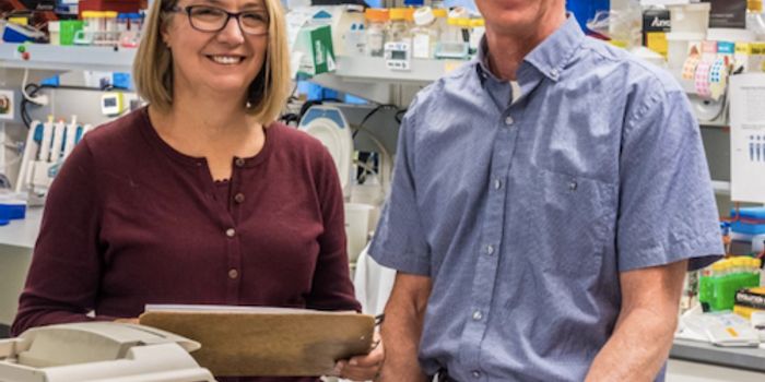 Using Gene Therapy to Treat Type 1 Diabetes