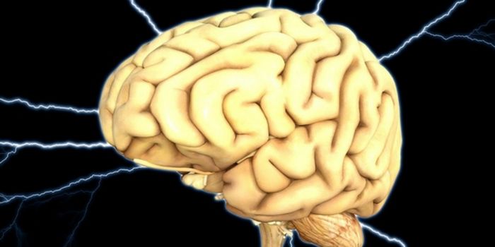 Sound Waves Tested for Essential Tremor