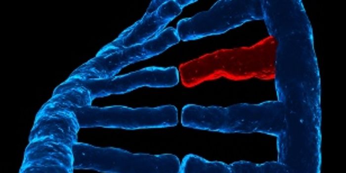 Americans and schizophrenia