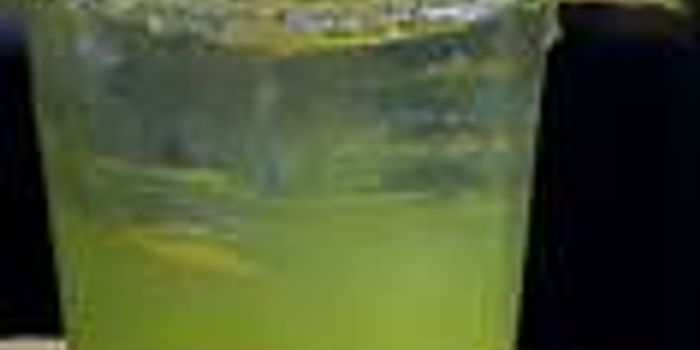 To Drink or Not to Drink, and How Much 