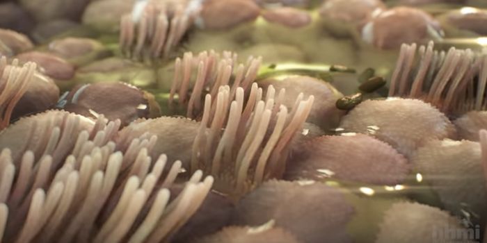 Learning More About How Gene Variants Impact Cystic Fibrosis