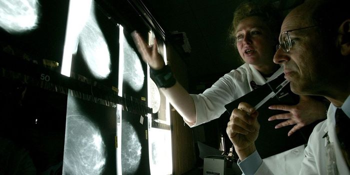 Cancer Rates For Women