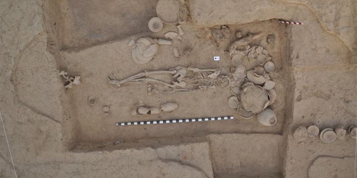 Analysis of Ancient DNA from Harappans Civilization Links it to Modern Indians