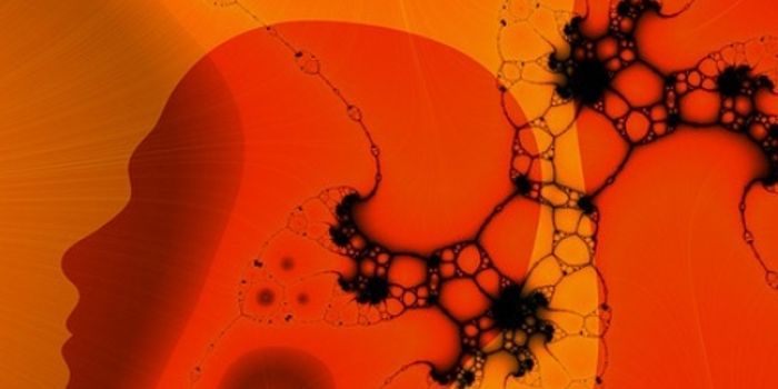 How Does Time Work in the Brain?