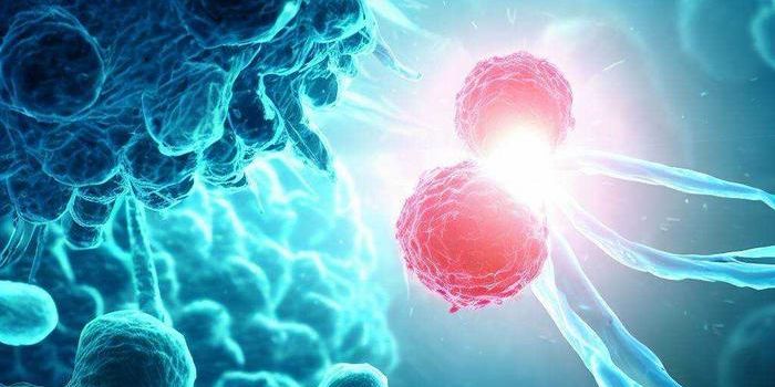 Machine Learning Advances Personalized Cancer Vaccines via BigMHC