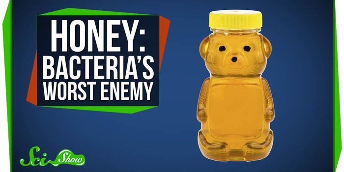 Honey As A Supercharged Antibacterial Agent