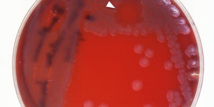 The Structure of a Bacteriophage DNA Tube is Revealed