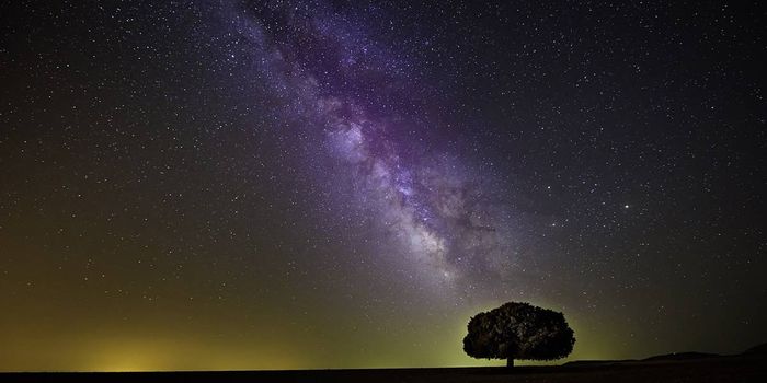 Is the Milky Way Too "Gassy"?