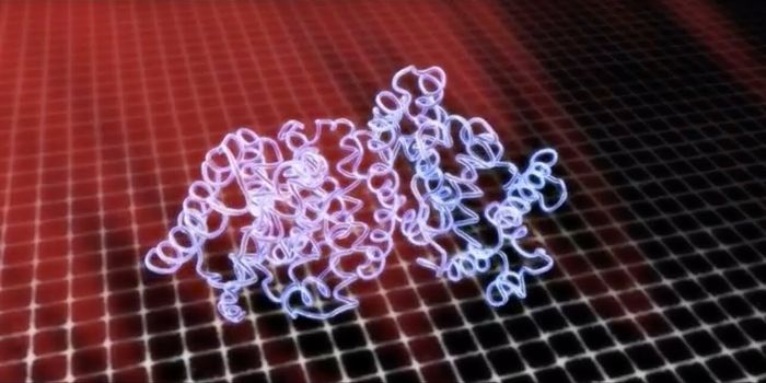 Learning More About the Significant Roles of Tiny Proteins