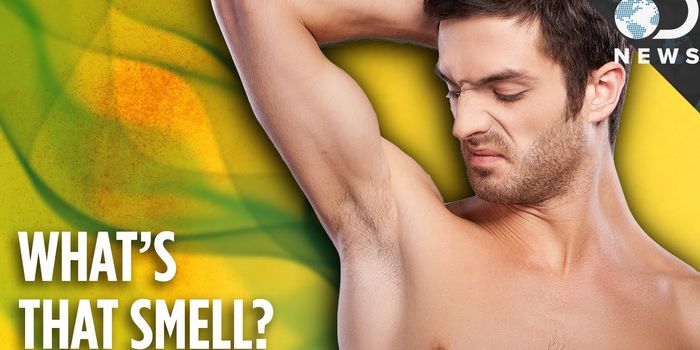 Why Do We Smell Bad When Sweat is Odorless?