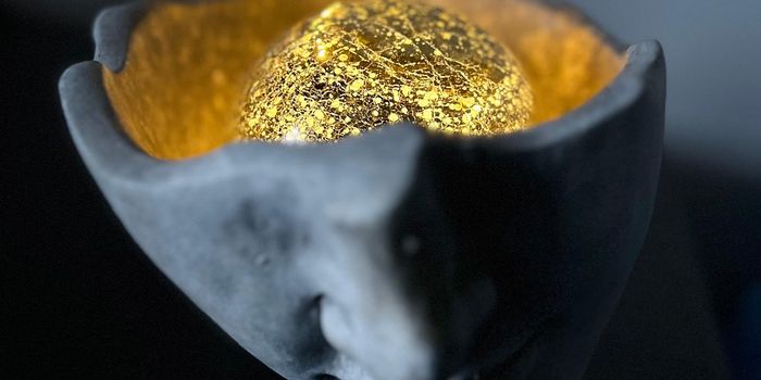 Novel Discovery Sheds Light on Treatment for Alzheimer's Disease