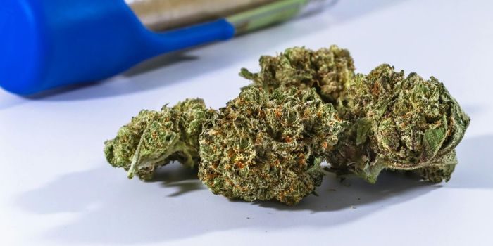 'No Evidence' that Cannabis Helps Chronic Neuropathic Pain
