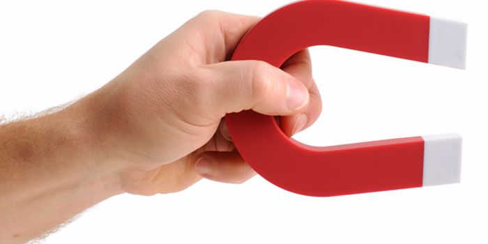 Magnetic bacteria target tumors