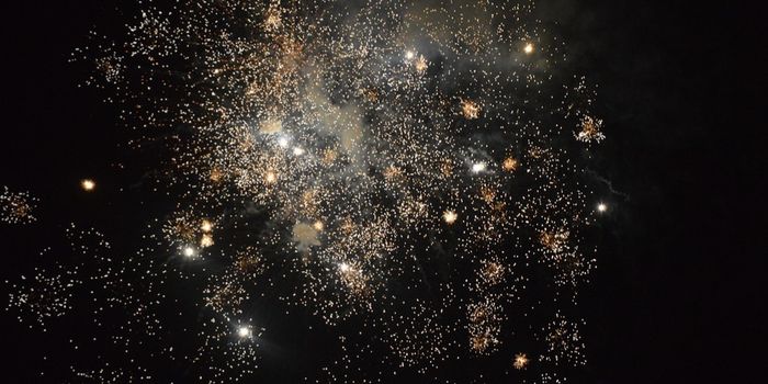 On the Cutting Edge - How Chimeroids Can Advance Research