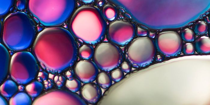 A Microbial Molecule to Boost Gut & Liver Health