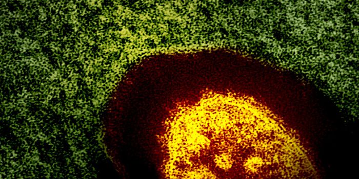 Updates on the Expanding Measles Outbreak in the Americas