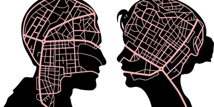 How does Brain's GPS work?