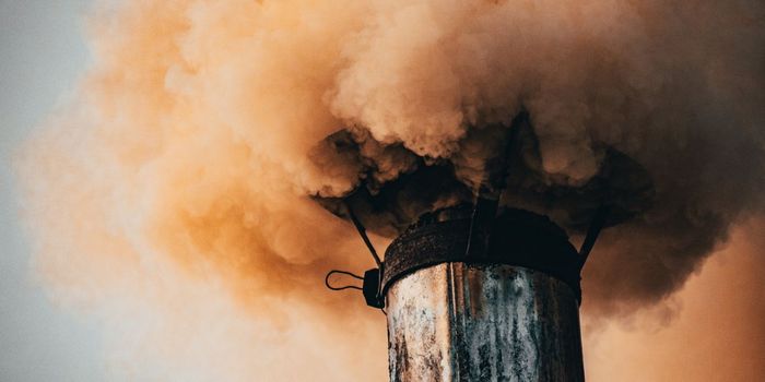 PM 2.5 Air Pollution Increases Parkinson's Risk by 56%