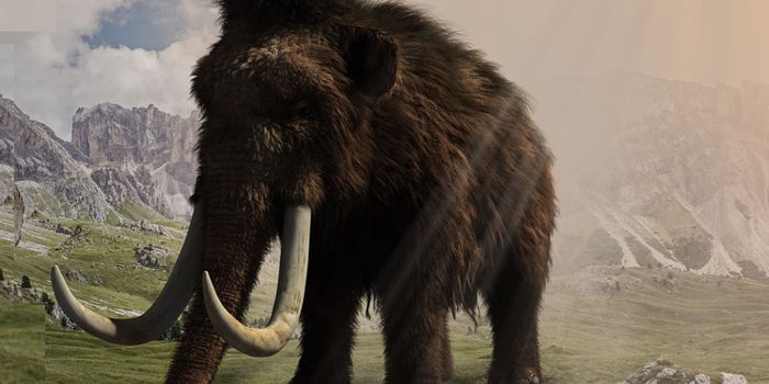 Scientists Reconstruct the Woolly Mammoth Genome in 3D