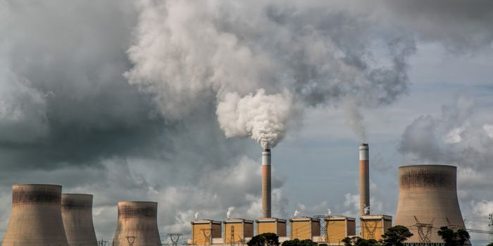 Changes in Heart Structure Linked to Air Pollution