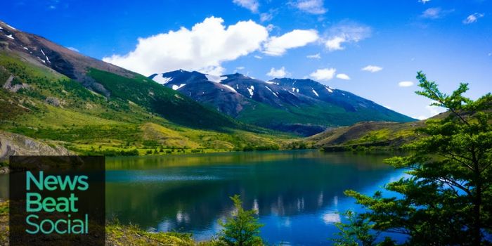 How can Black Friday consumerism help the environment?