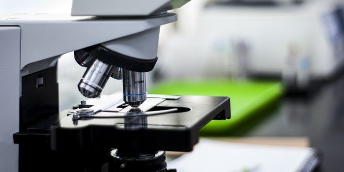 A New Biomarker to Identify a Triple Negative Breast Cancer Prognosis