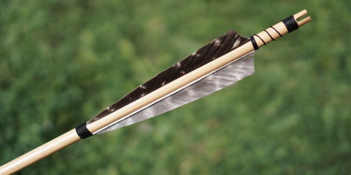 Gut Bacteria's Poison Arrows Exposed