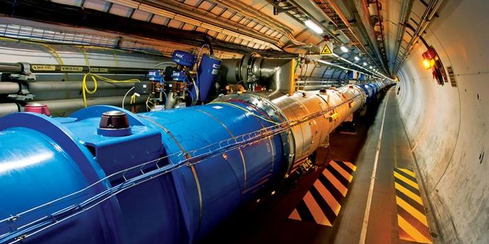 Large Hadron Collider Gets Shut Down Because of... Weasels??